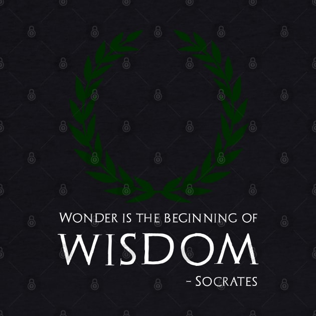 Ancient Greek Philosophy Socrates Quote On Wisdom by Styr Designs